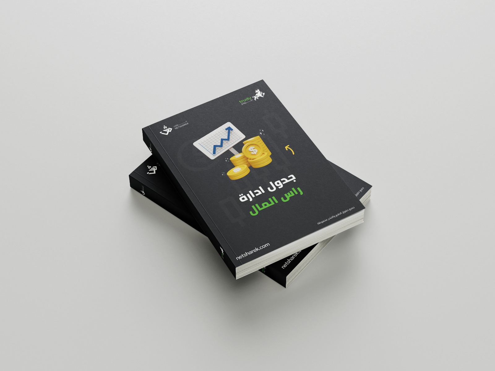 محتوى كتاب إدارة رأس المال